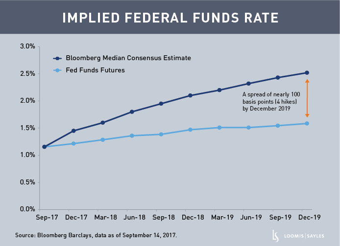 Fed Funds Futures 2024 - Adey Loleta